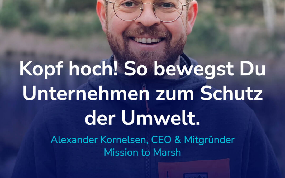 Kopf hoch! Wie Du Unternehmen zum Umweltschutz bewegst. Auch ohne Regulationsdruck. #72